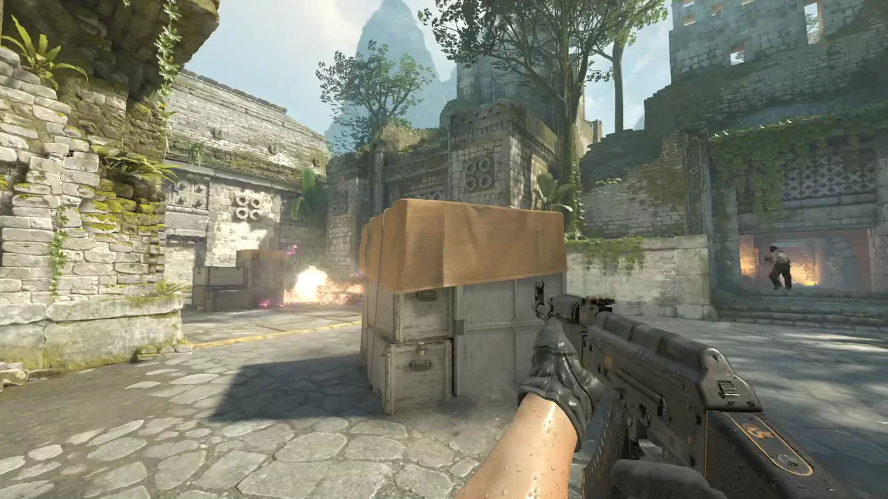 highlight